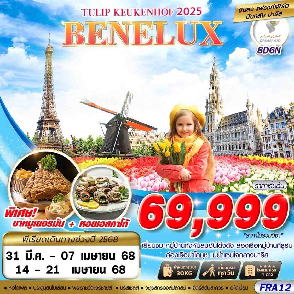 ทัวร์เยอรมนี BENELUX TULIP KEUKENHOF 2025 FRA-CDG 8วัน 6คืน (WY)